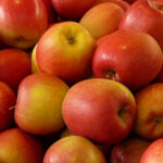 blog-img2